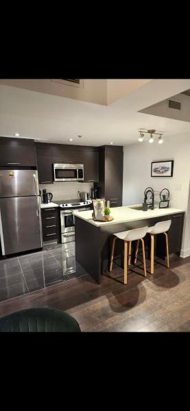 Condo 2 chambres avec parking privé - Griffintown